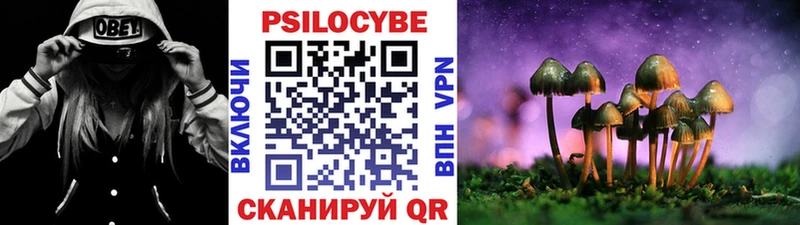 что такое   дарк нет клад  МЕГА зеркало  Псилоцибиновые грибы ЛСД  Верхний Тагил 